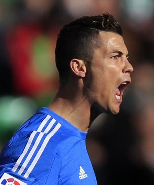 力与顽强的 力与顽强的