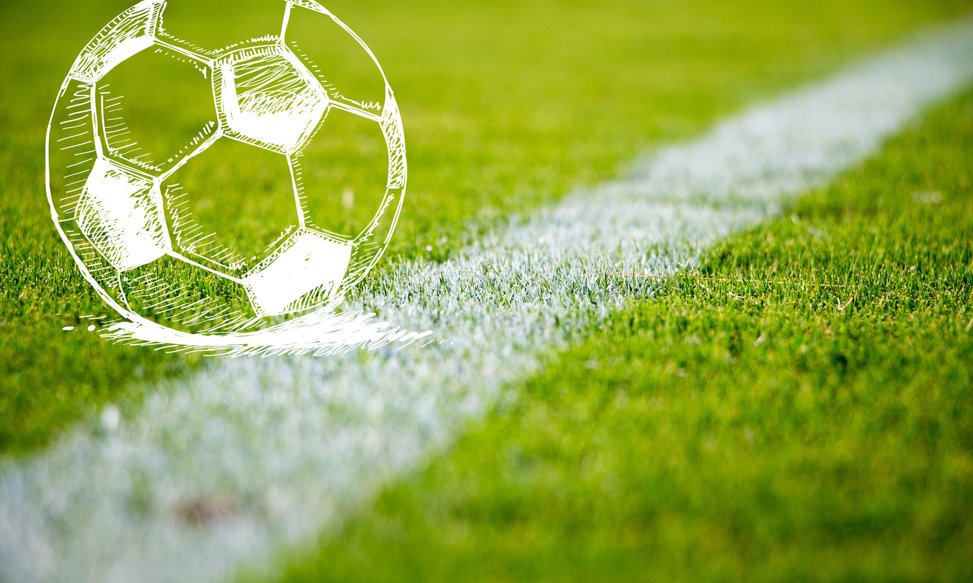 正是他入选 正是他入选