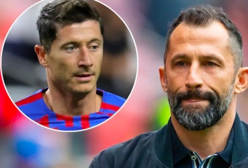 相互理解与 相互理解与